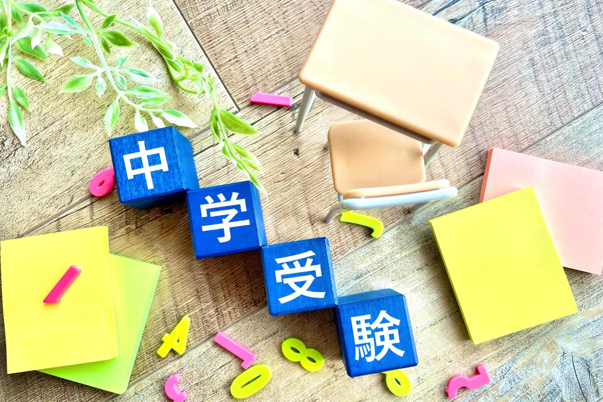 【つくば市】中学受験に強い塾3選